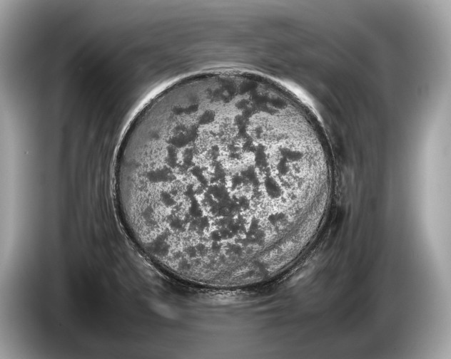 X0000085071279200703191253