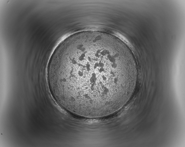 X0000085071283200703191253