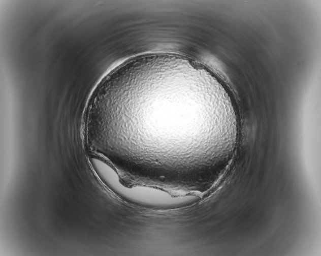 X0000085071284200703191253