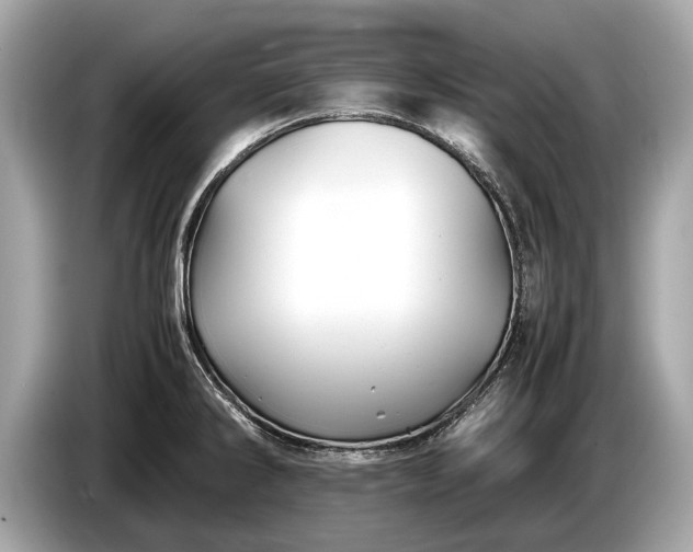 X0000085071286200703191253