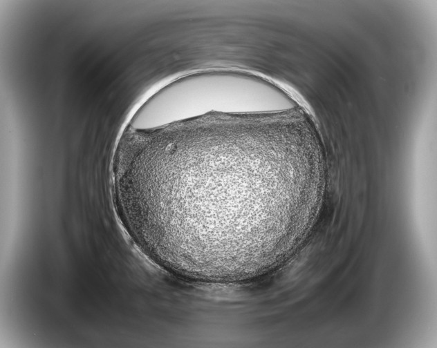 X0000085071287200703191253