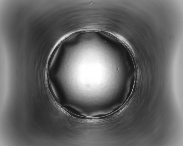 X0000085071288200703191253