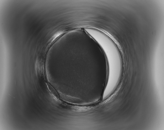 X0000085071289200703191253