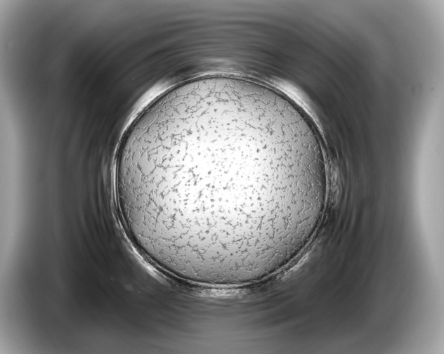 X0000085071290200703191253