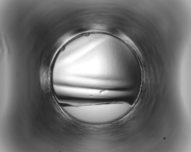 X0000085071292200703191253