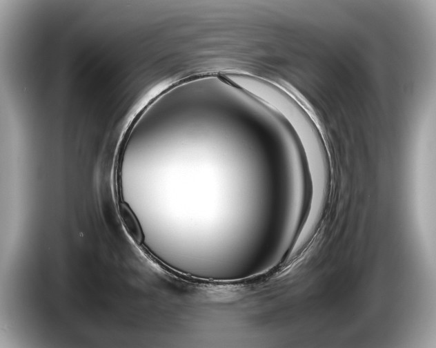 X0000085071293200703191253