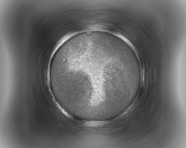 X0000085071294200703191253