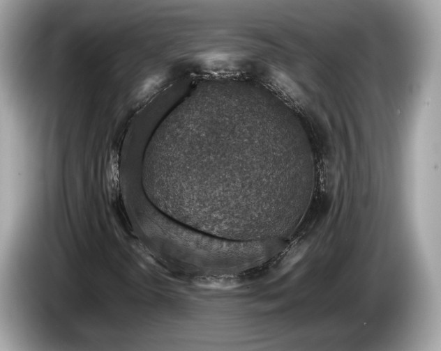 X0000085071298200703191252