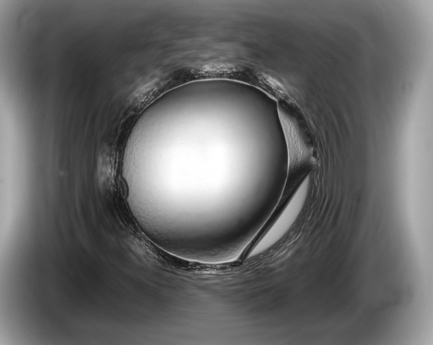 X0000085071300200703191252