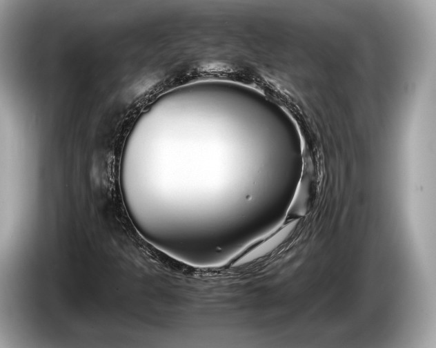 X0000085071301200703191252