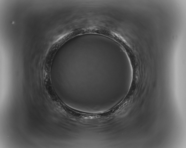 X0000085071303200703191252