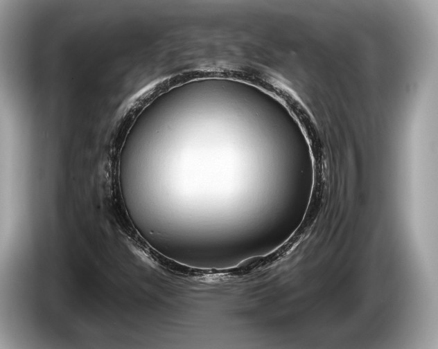 X0000085071304200703191252