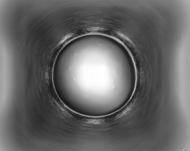 X0000085071305200703191252