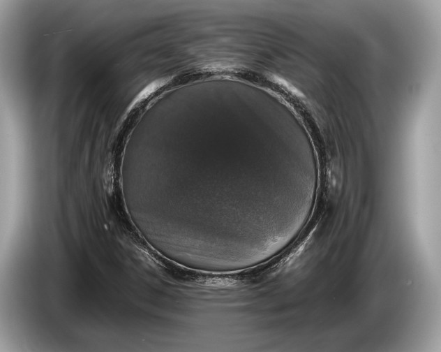 X0000085071306200703191252