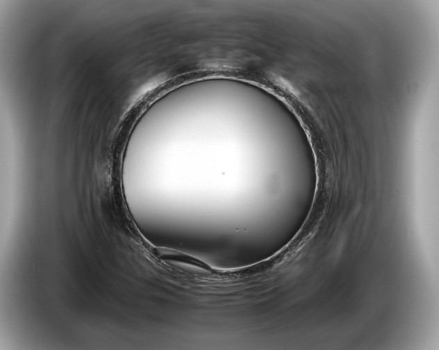 X0000085071307200703191252