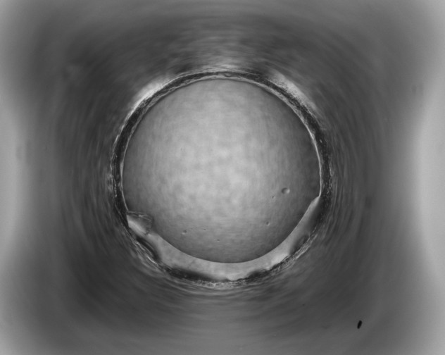 X0000085071308200703191252