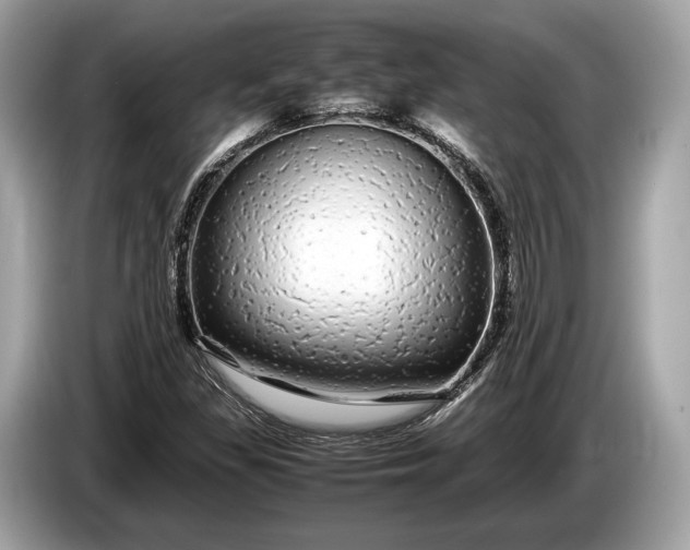 X0000085071309200703191252