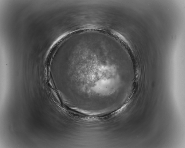 X0000085071310200703191252