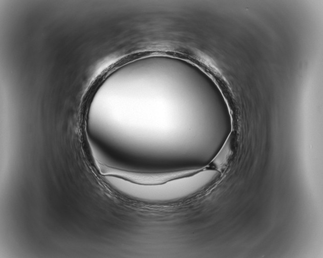 X0000085071312200703191252