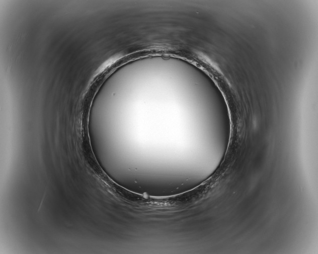 X0000085071315200703191252