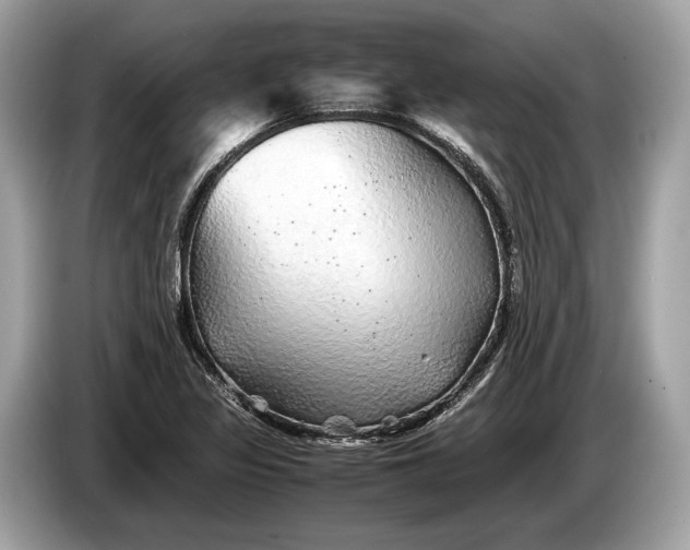 X0000085071317200703191252