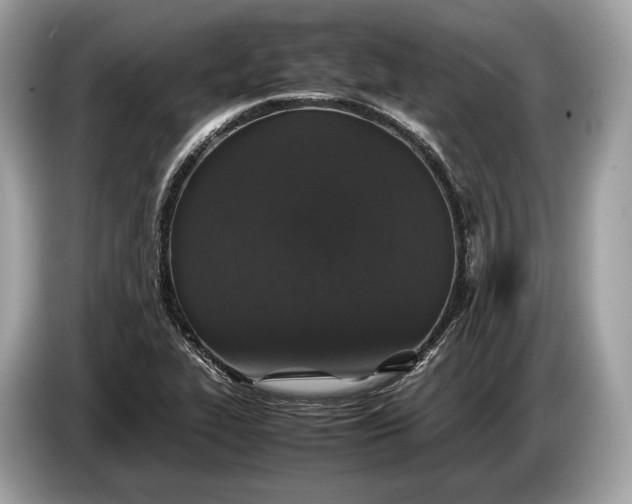 X0000085071319200703191252