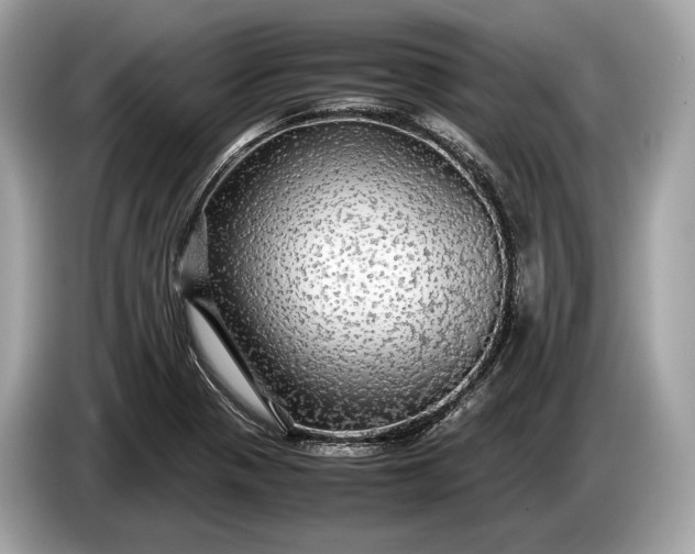 X0000085071321200703191252