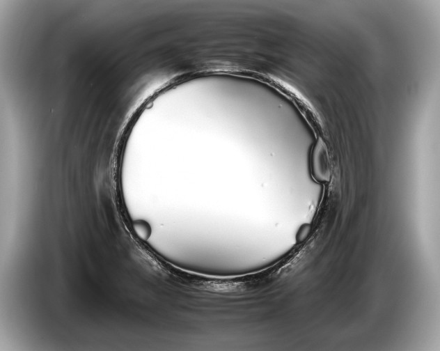 X0000085071325200703191252