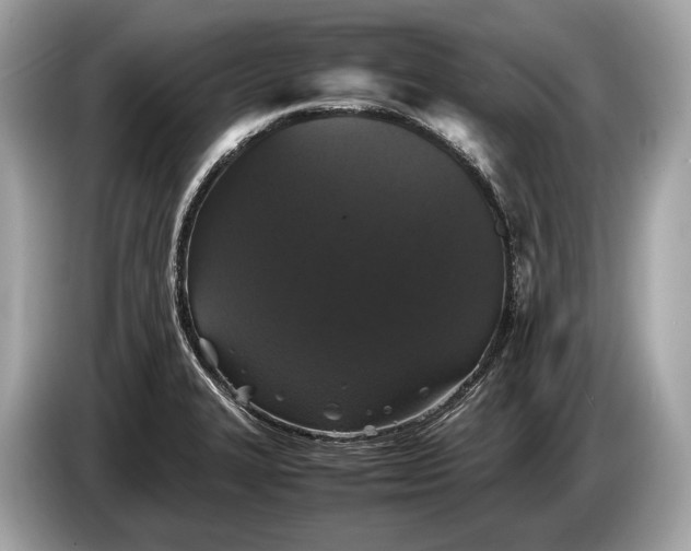 X0000085071327200703191252