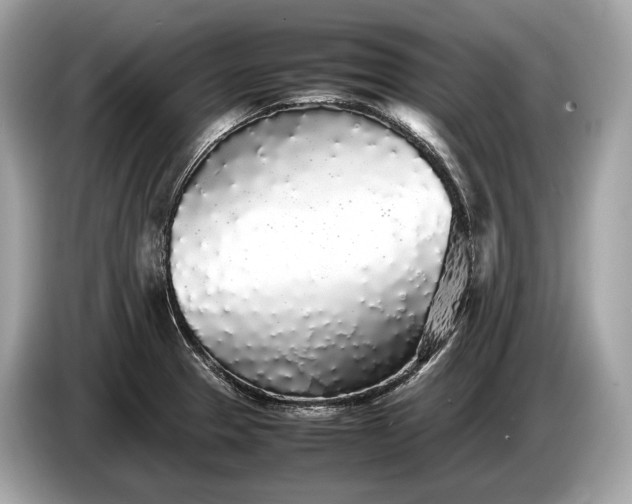 X0000085071329200703191253