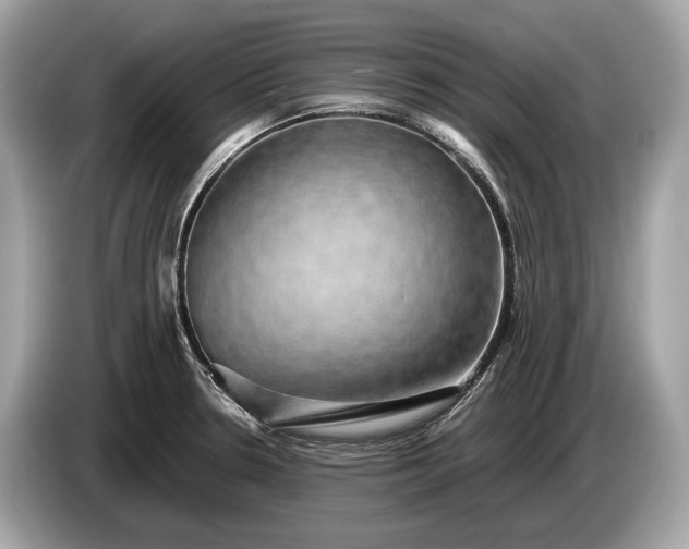 X0000085071330200703191253