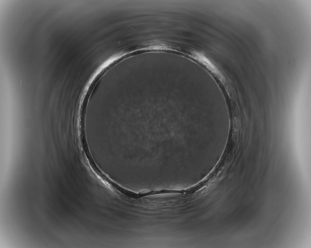 X0000085071331200703191253