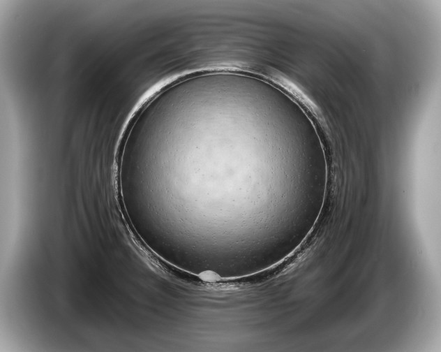 X0000085071332200703191253