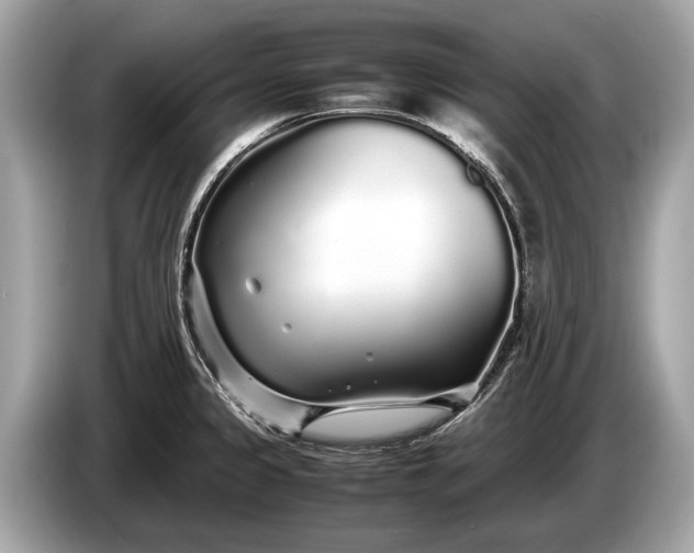 X0000085071333200703191253