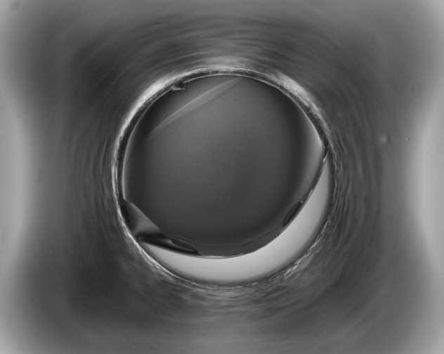 X0000085071334200703191253