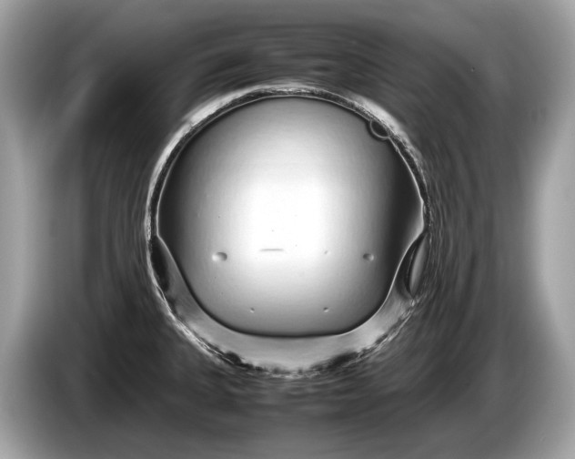 X0000085071335200703191253