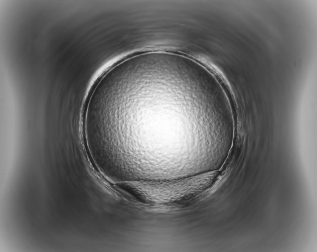 X0000085071336200703191253