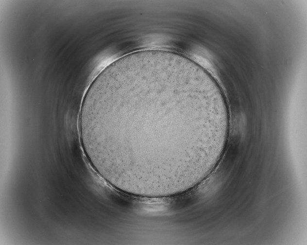 X0000085071338200703191253