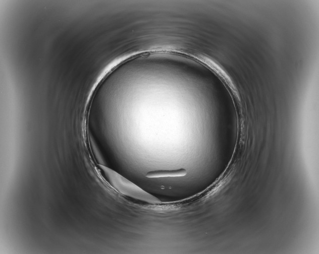 X0000085071340200703191253