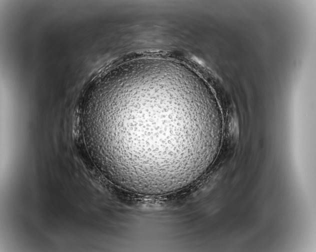 X0000085071350200703191252