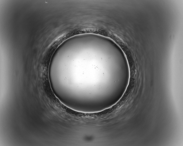 X0000085071351200703191252