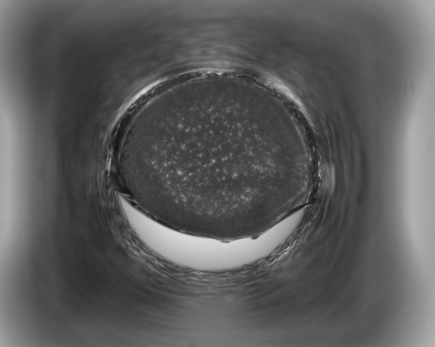 X0000085071352200703191252