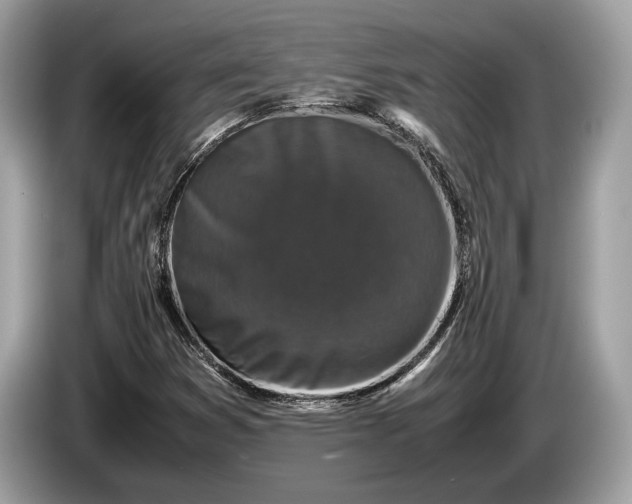 X0000085071353200703191252