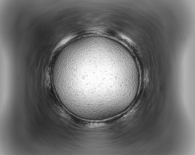 X0000085071354200703191252