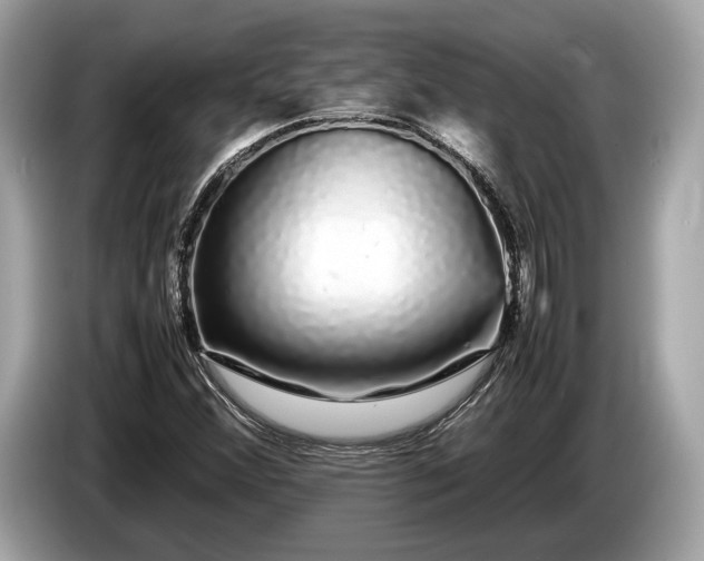 X0000085071356200703191252