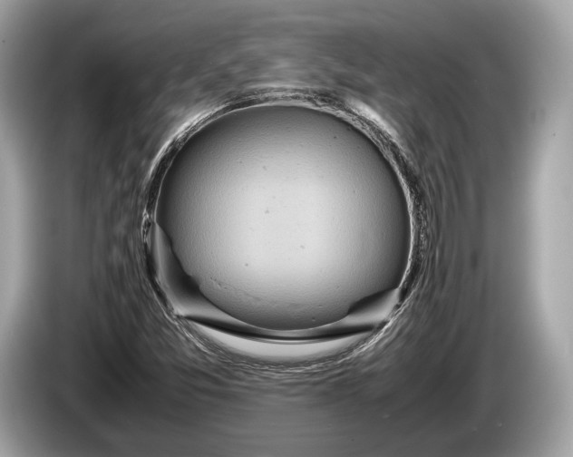 X0000085071357200703191252