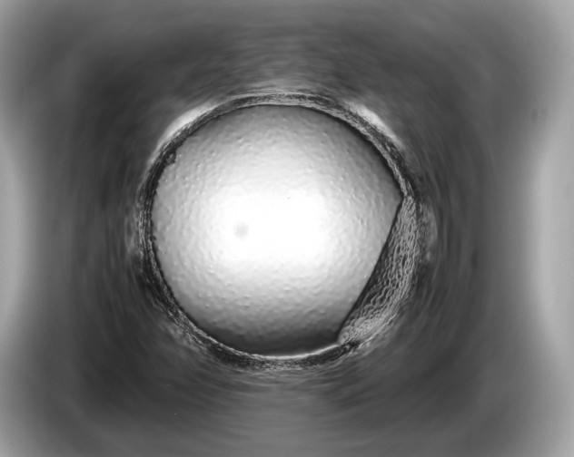 X0000085071358200703191252