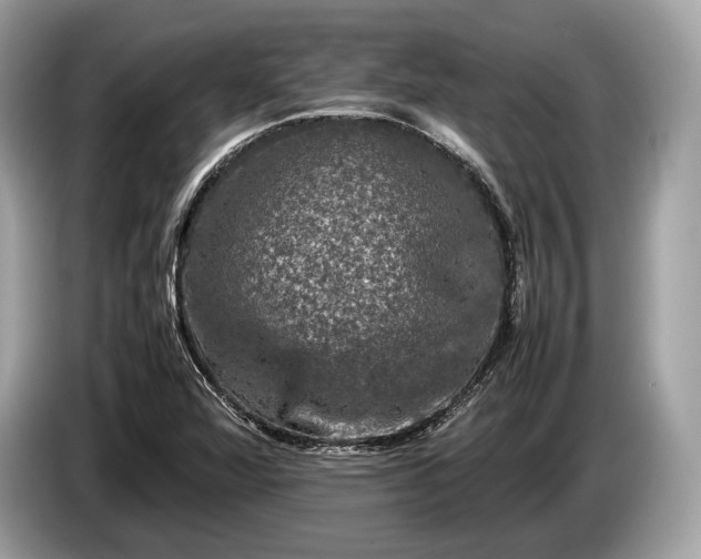 X0000085071360200703191252