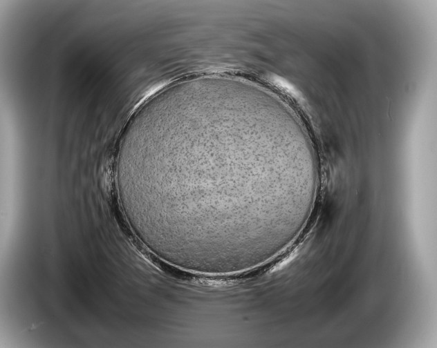 X0000085071361200703191252