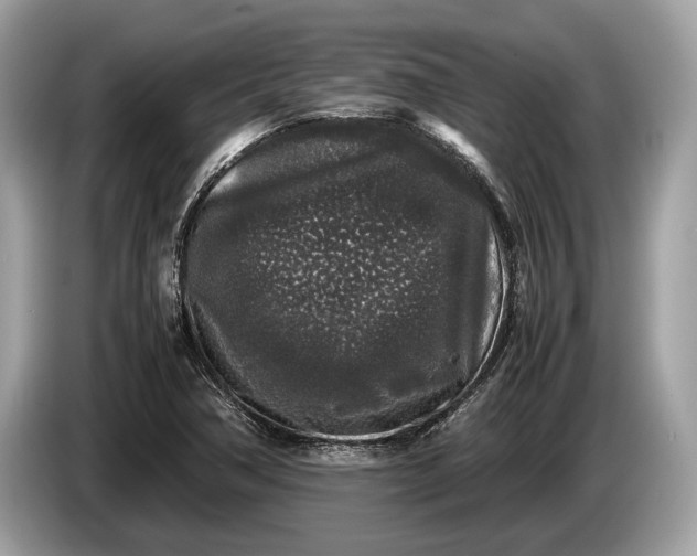 X0000085071362200703191252